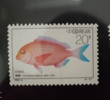 集邮系列——1992-4T《近海养殖》(4-1)真鲷