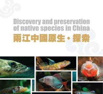 今天我想说几句，时隔十年重说两江精神！