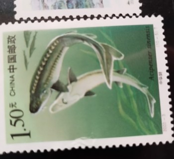 集邮系列——2000-3《国家重点保护野生动物(I级）》(10-5)中华鲟