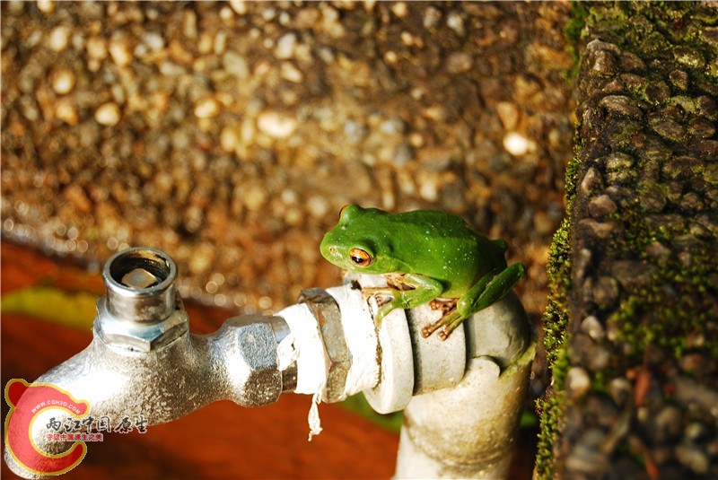 DSC_0024_副本.jpg