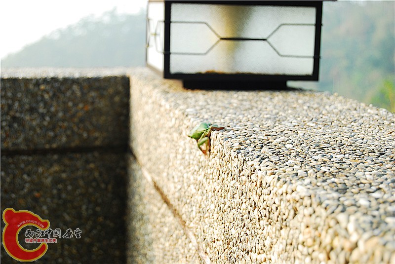 DSC_0025_副本.jpg