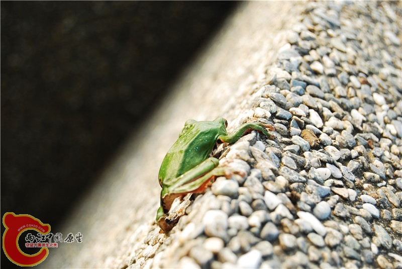 DSC_0029_副本.jpg
