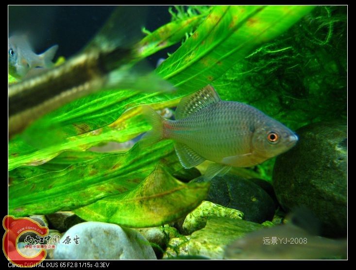 nEO_IMG_IMG_0051.jpg