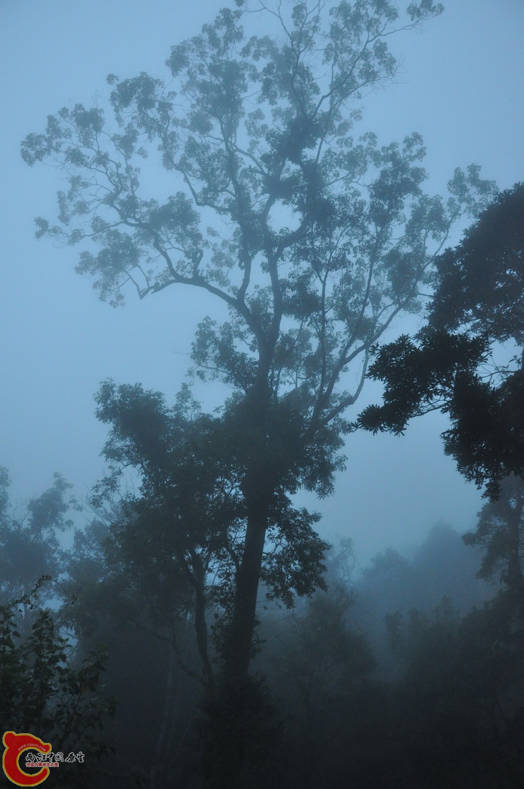 DSC_0001.jpg