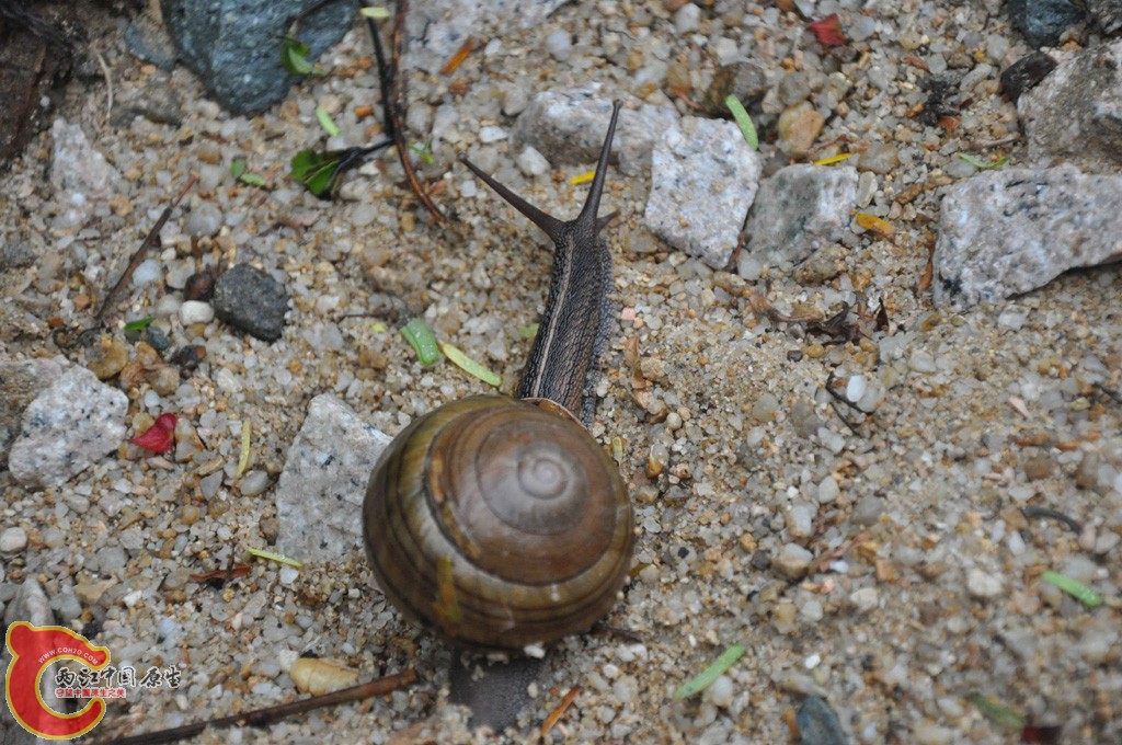 DSC_0009.jpg