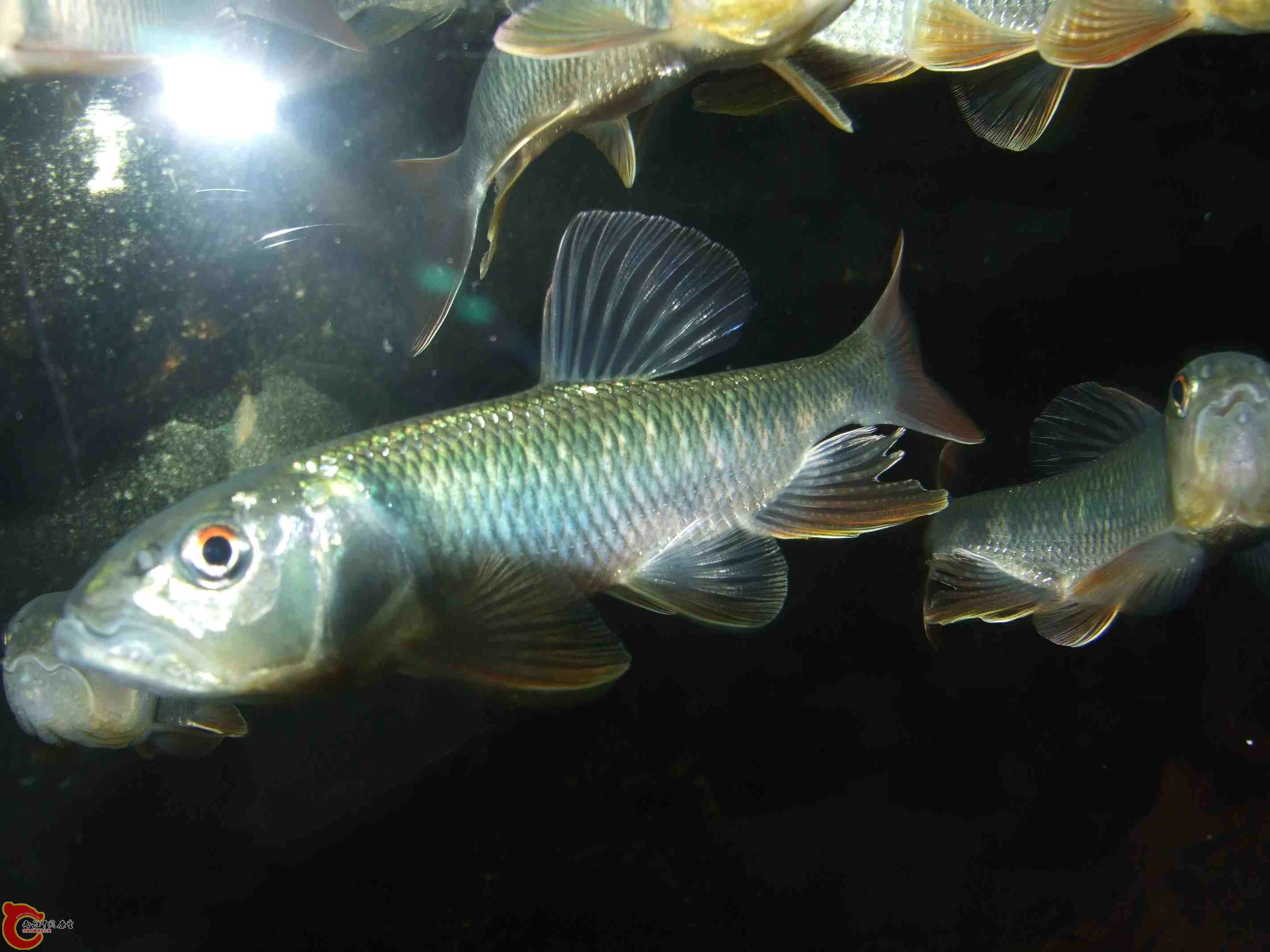 DSCF8150.jpg