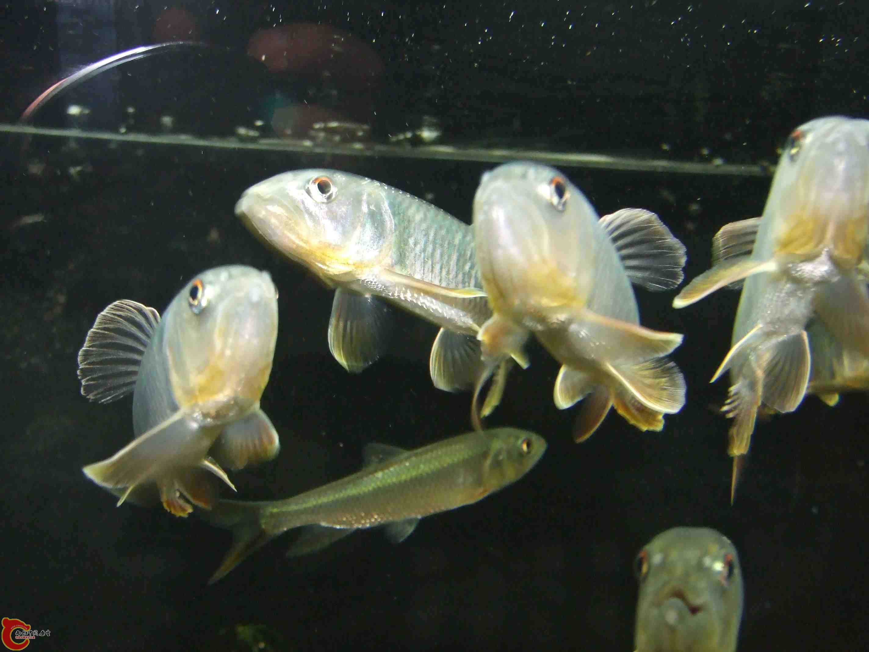 DSCF8170.jpg