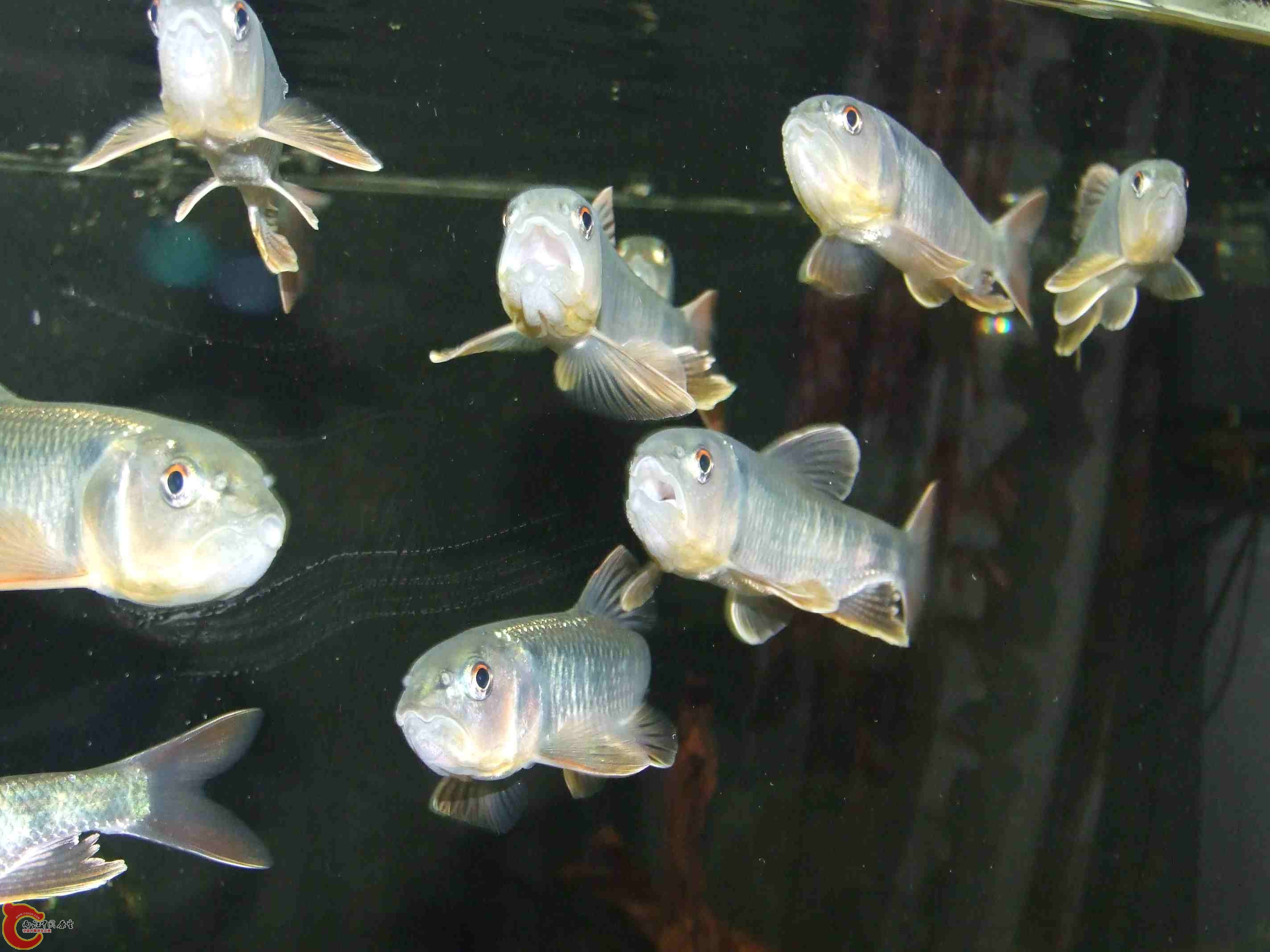 DSCF8172.jpg
