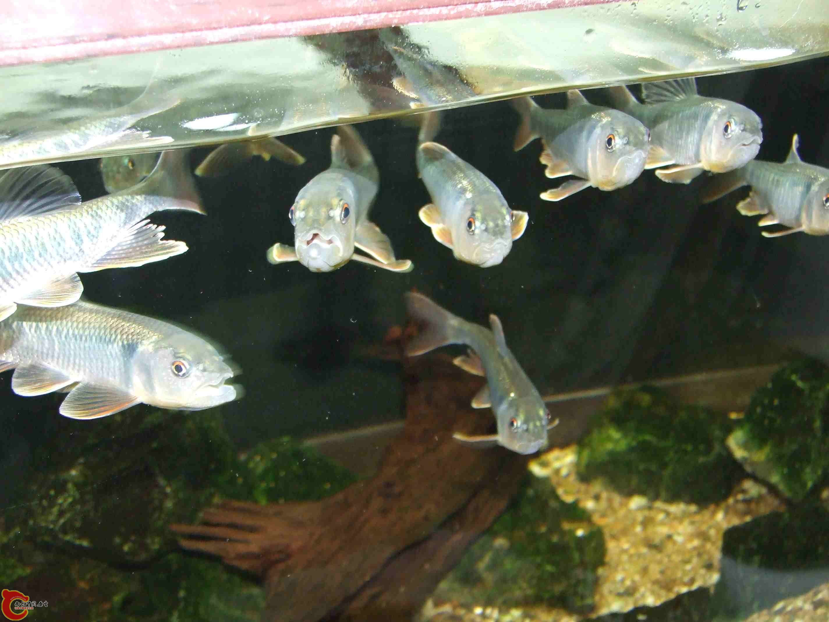 DSCF8193.jpg