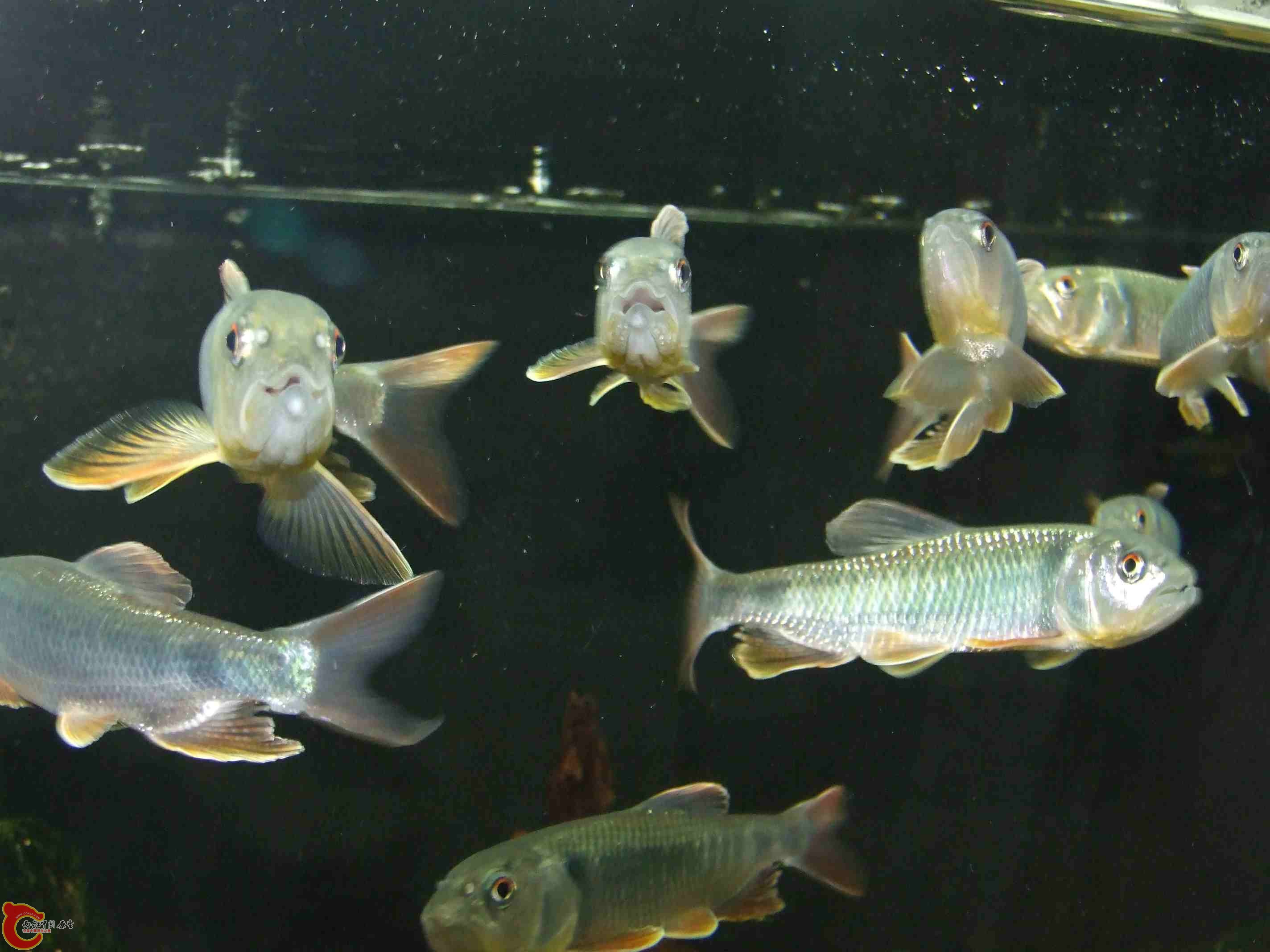DSCF8195.jpg