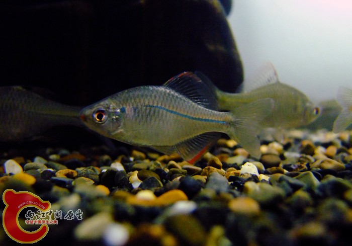 DSCF0542.jpg