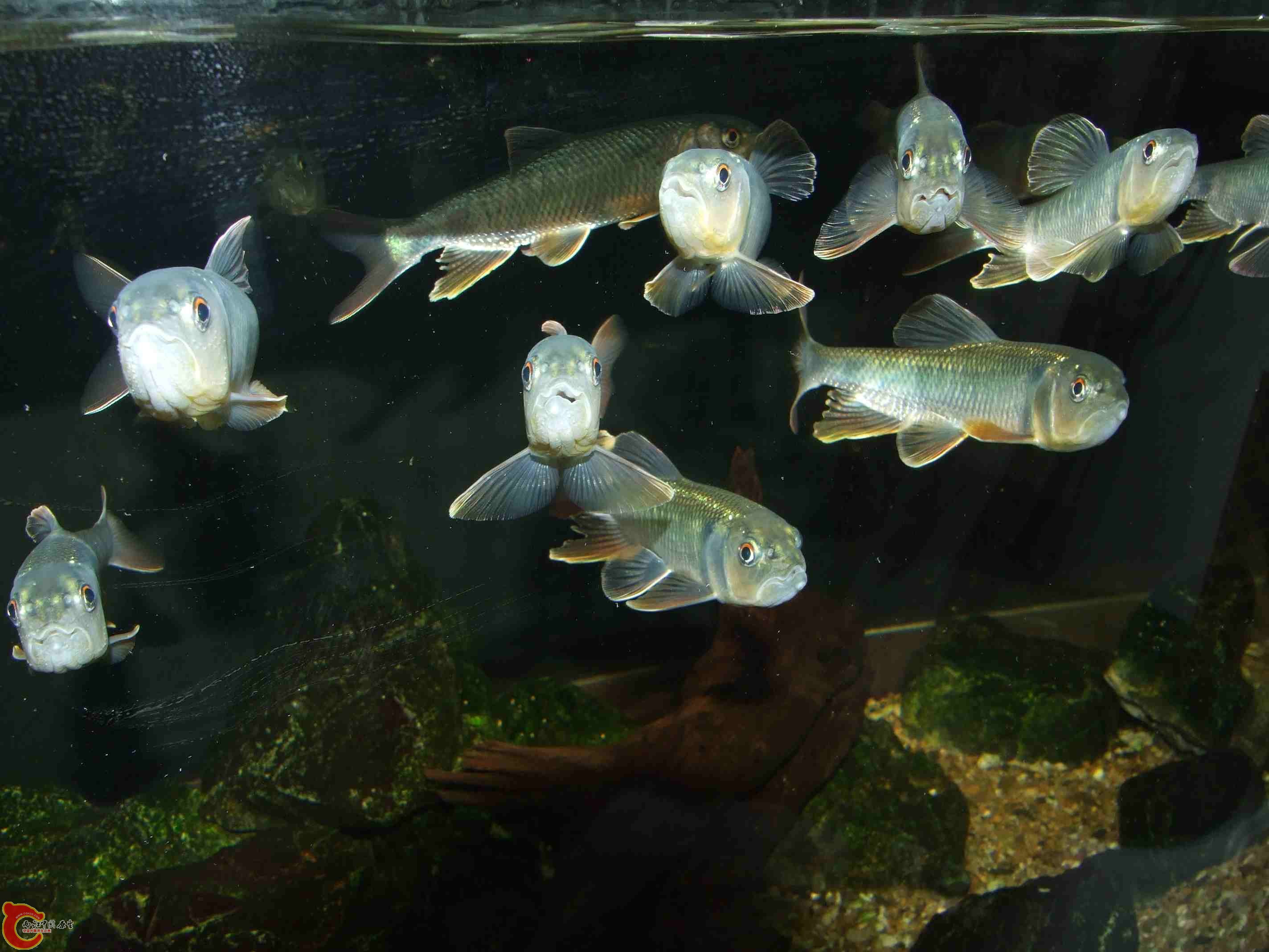 DSCF8147.jpg