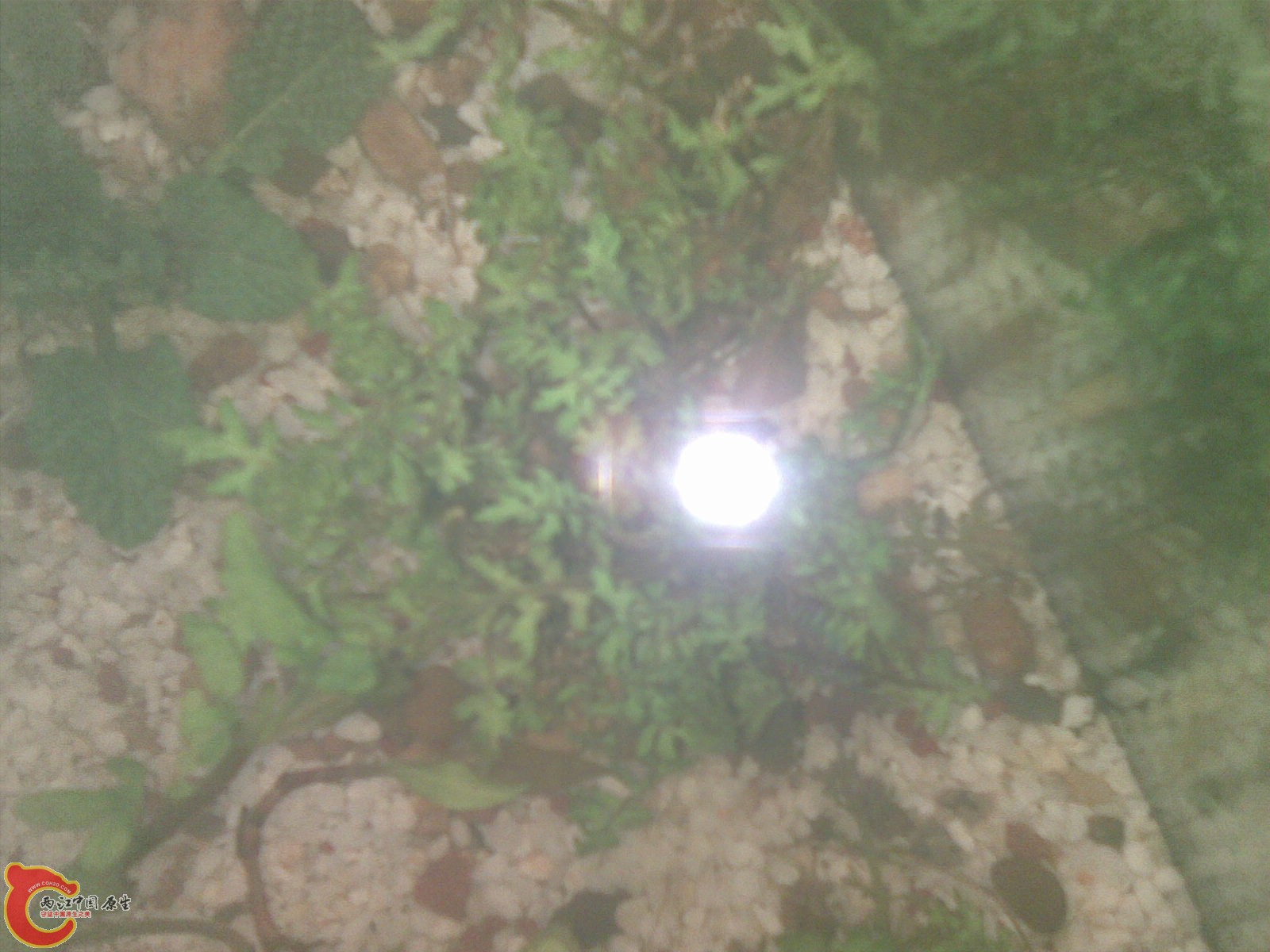 20110224.jpg
