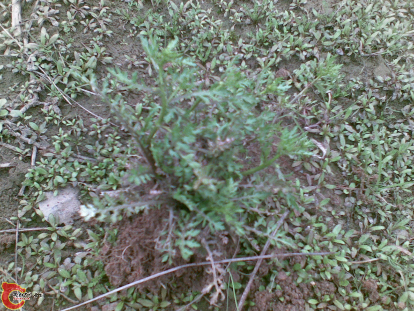 20110223(001).jpg
