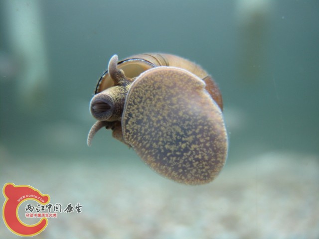 IMG_1059.JPG