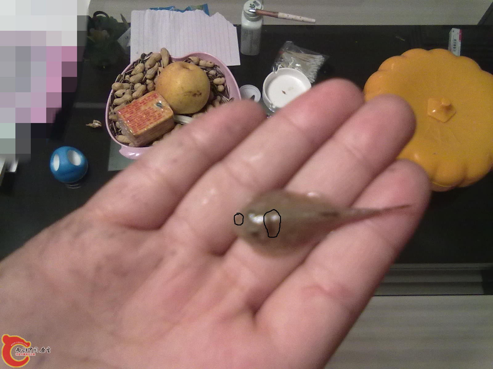 20110225083_副本.jpg