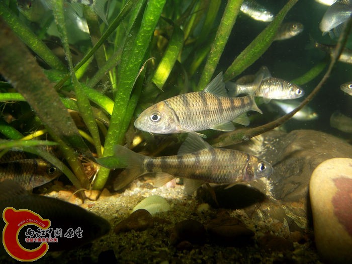 DSCF2988.jpg