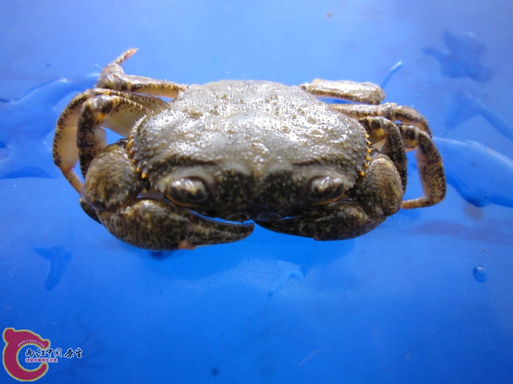 IMG_3689.JPG
