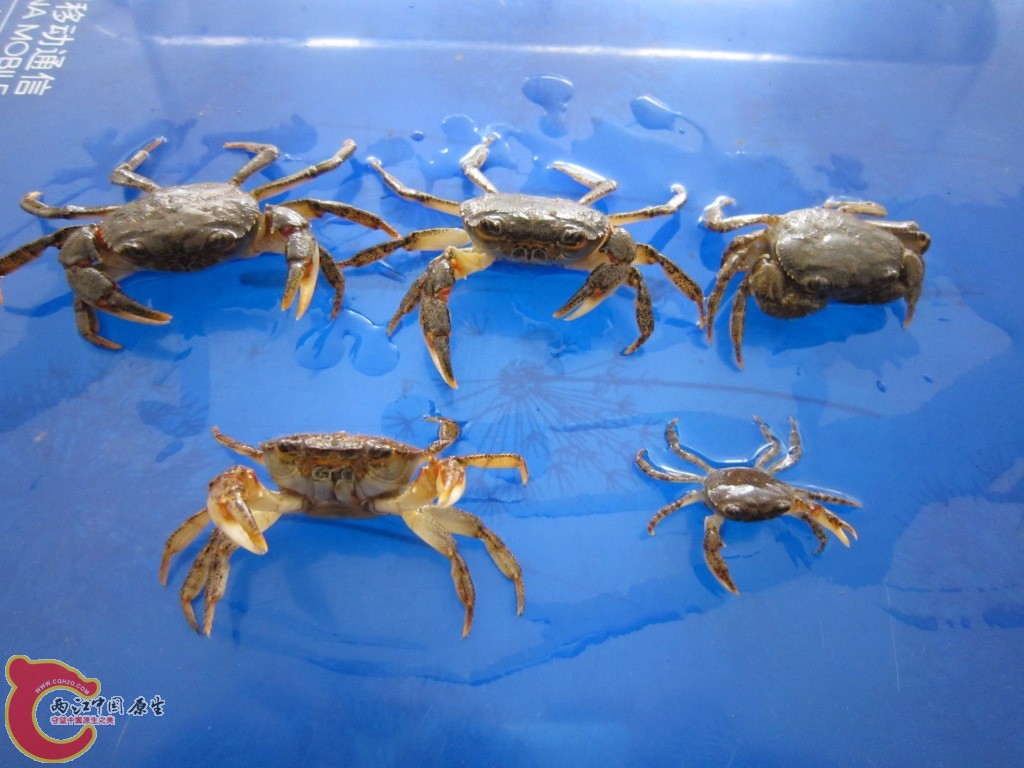 IMG_3699.JPG