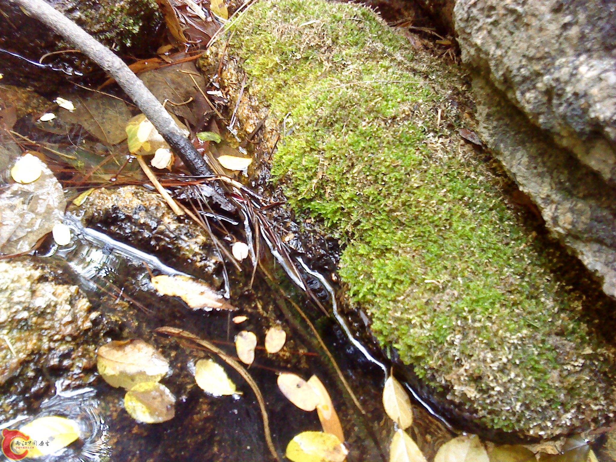 DSC00055.JPG