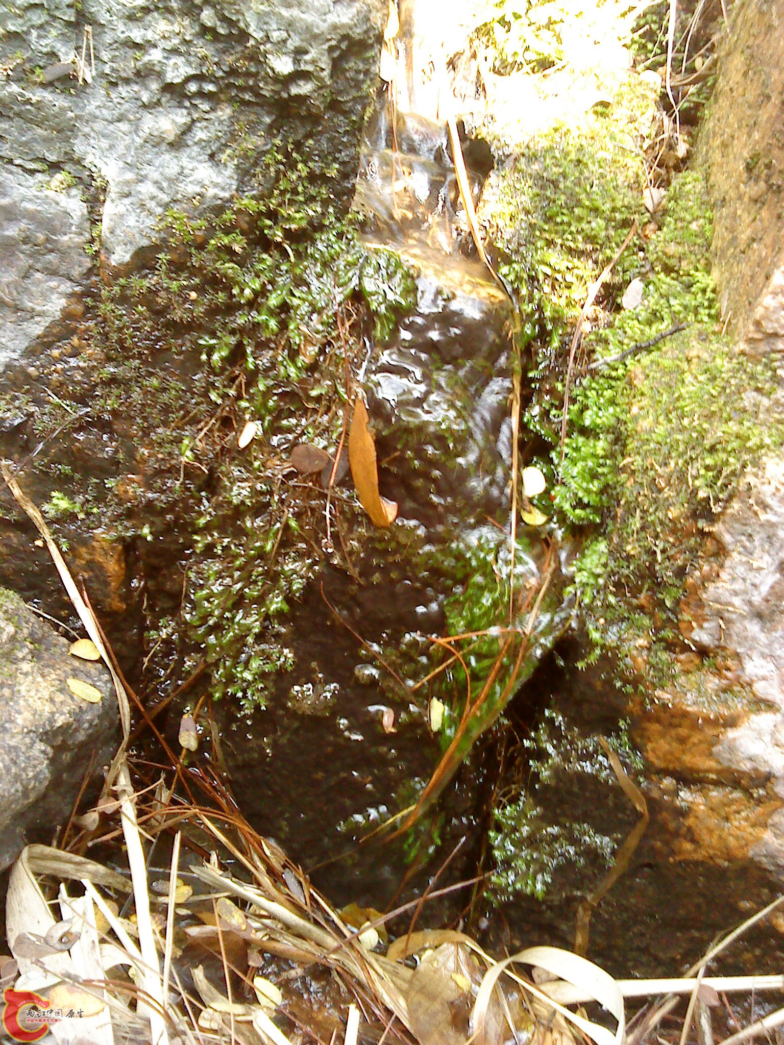 DSC00071.JPG