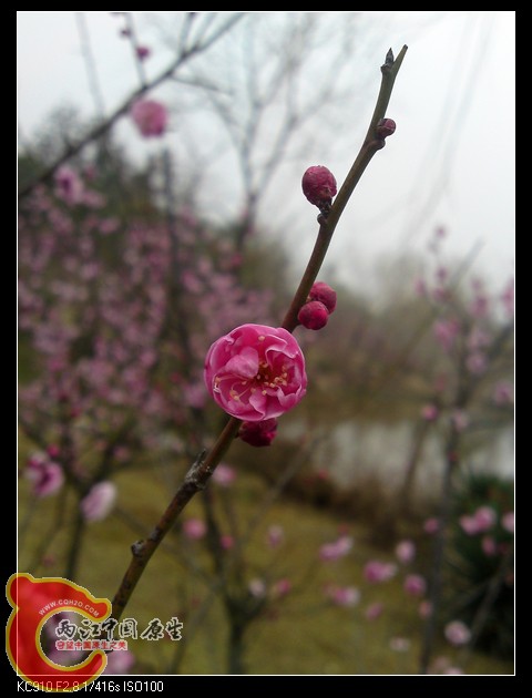 P28-02-11_11.34.jpg