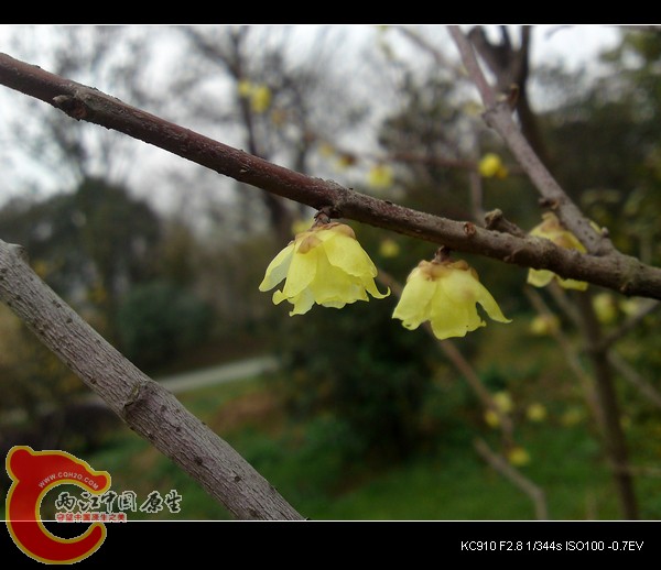 P28-02-11_11.58[02].jpg