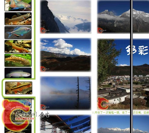 QQ截图未命名.jpg