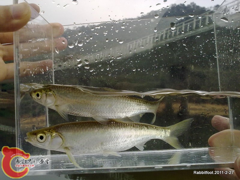 20110227216.jpg