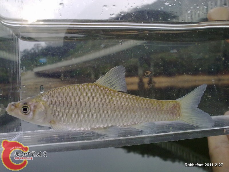 20110227217.jpg