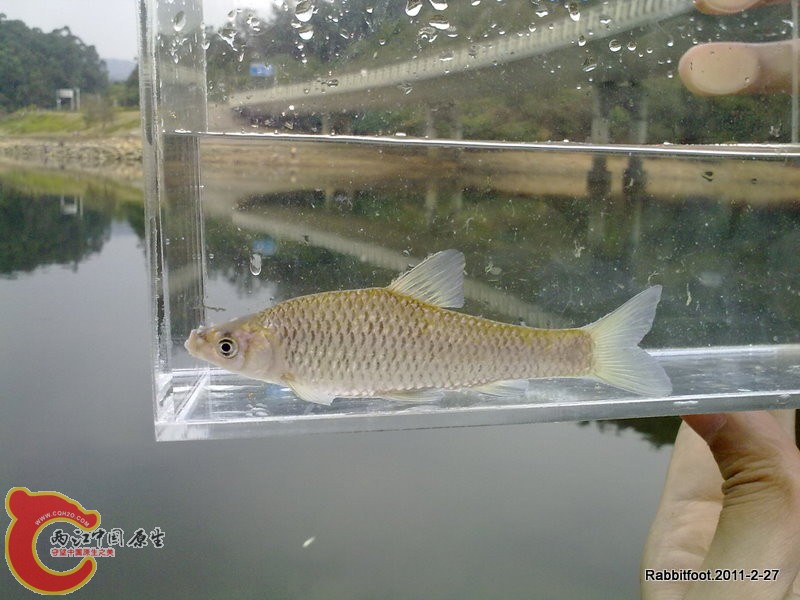 20110227219.jpg