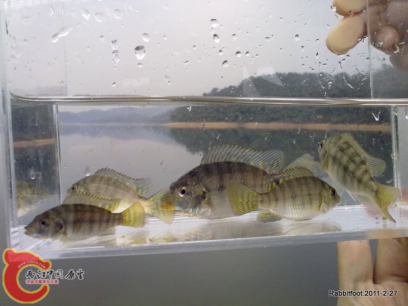 20110227220-1.jpg