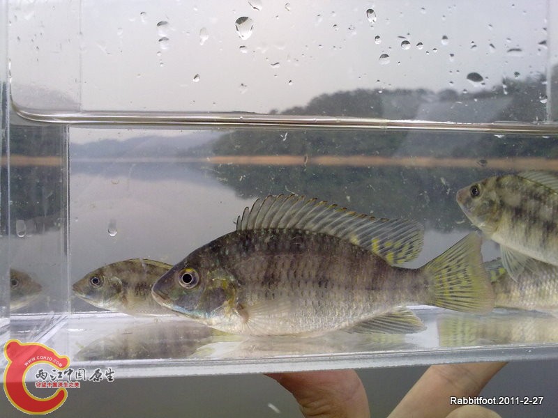 20110227223.jpg