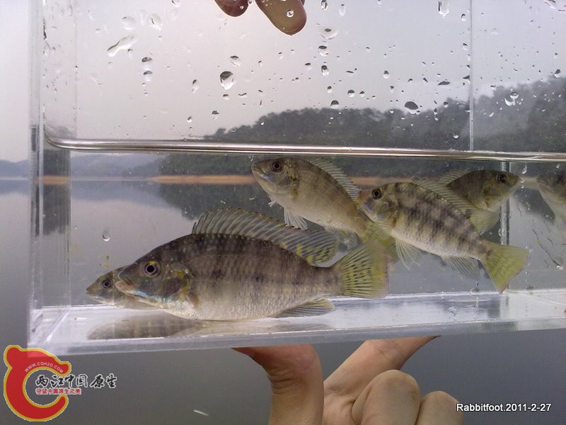 20110227225.jpg
