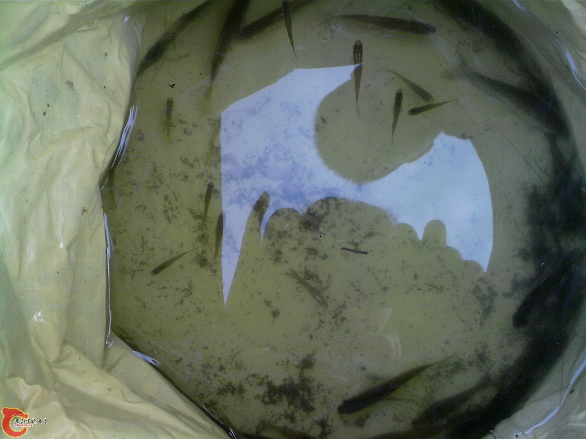 110301A000.jpg