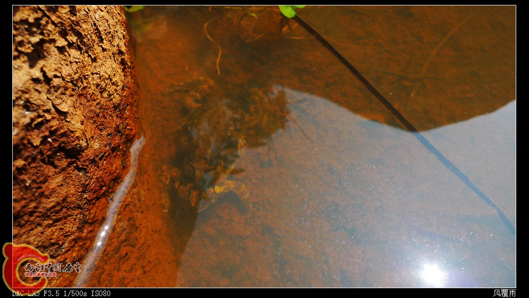 P1070554_nEO_IMG.jpg