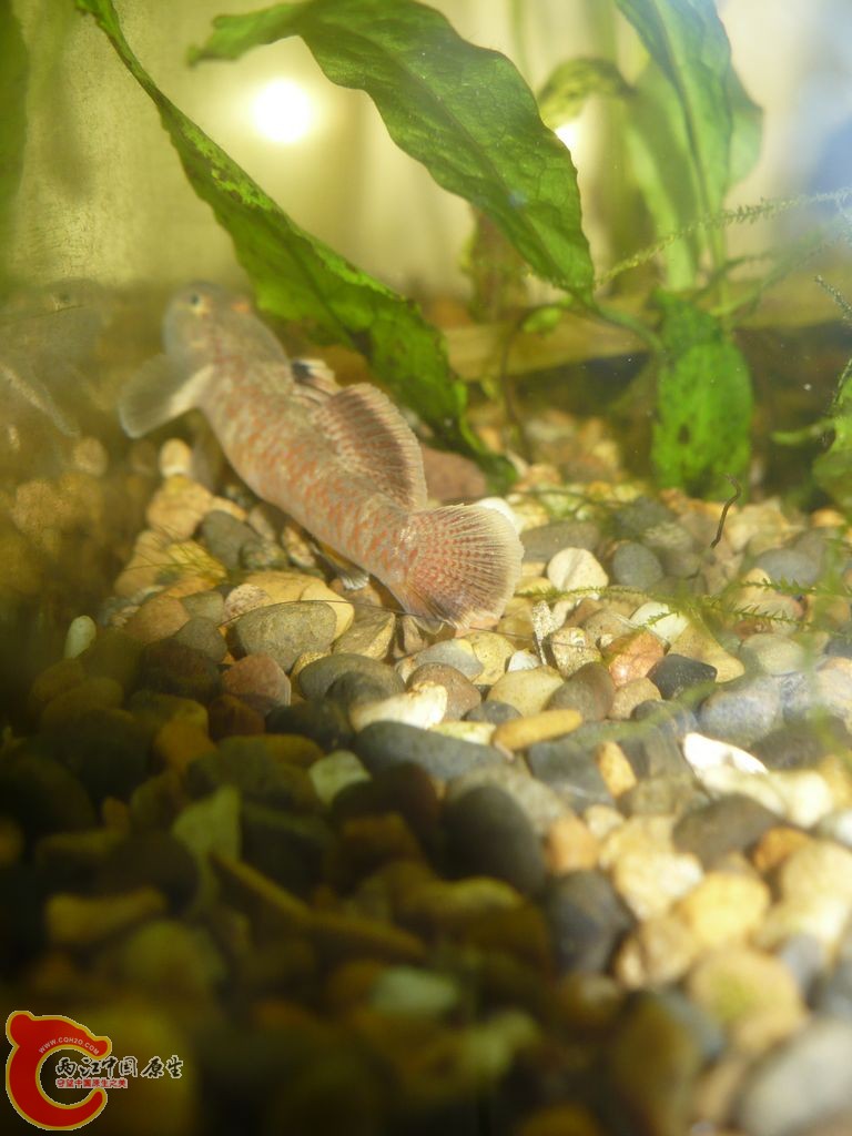 nEO_IMG_旋转 P1130276.jpg