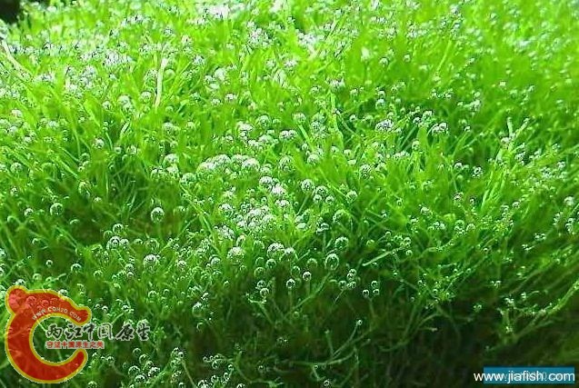 0e655ca785d6b0a1d043583e.jpg 0e655ca785d6b0a1d043583e.jpg