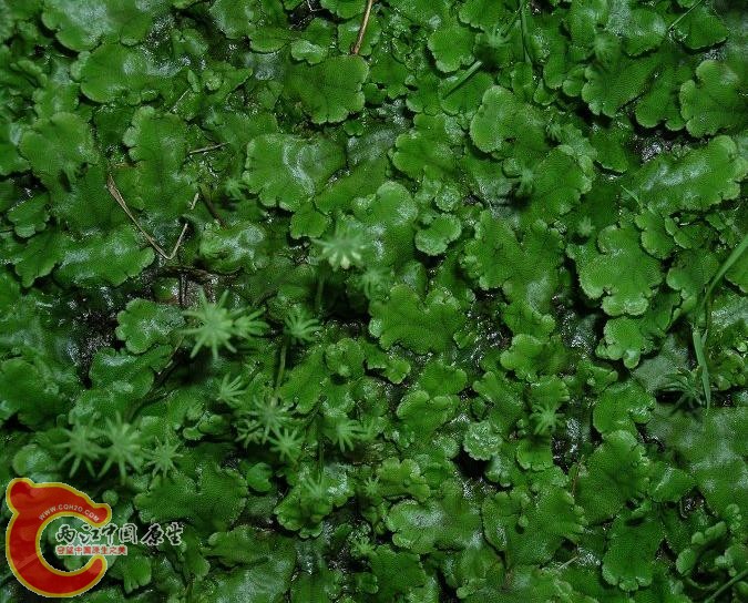 01300000115459121014264312057.jpg 01300000115459121014264312057.jpg