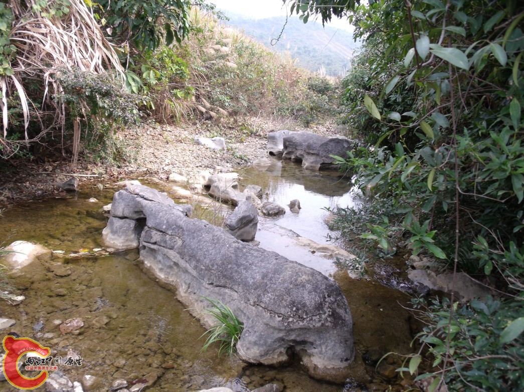 微缩的桂林象鼻山出现在柳州