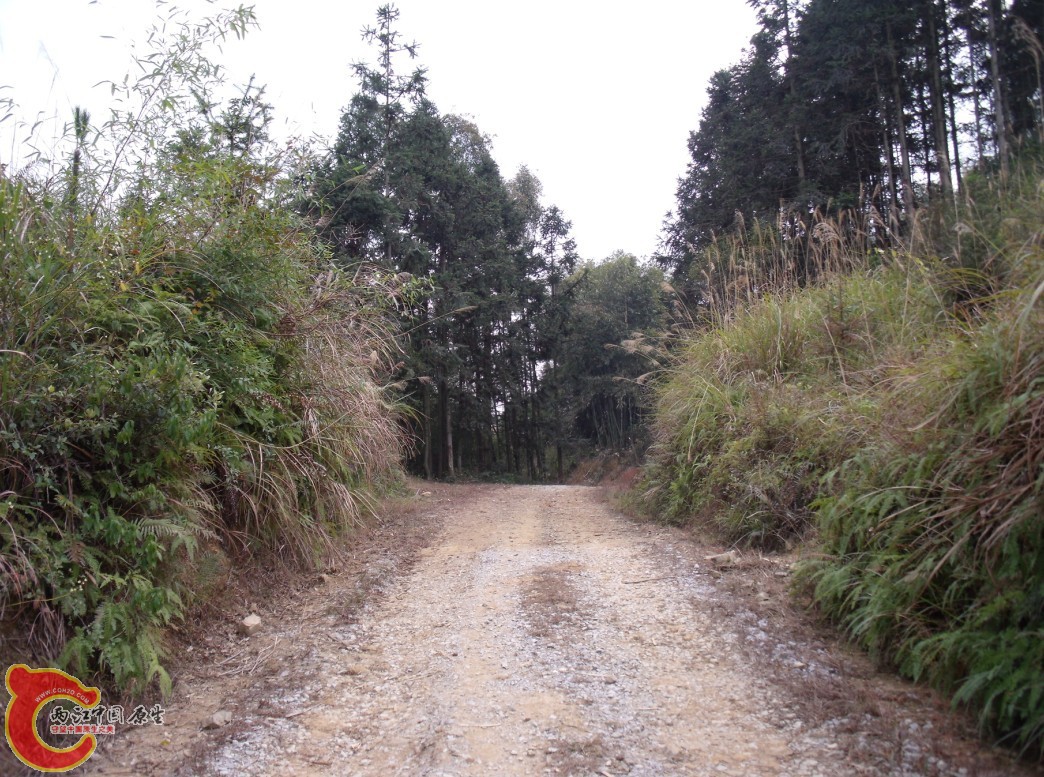 野采之路