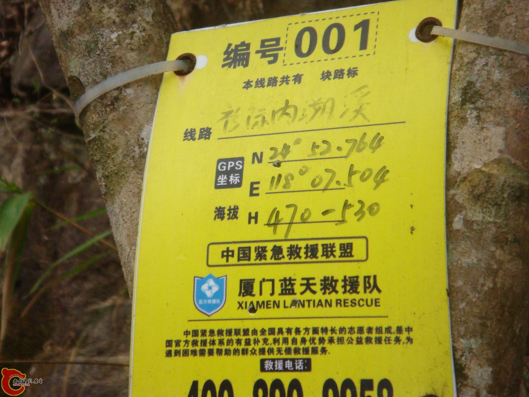 DSC02540.jpg