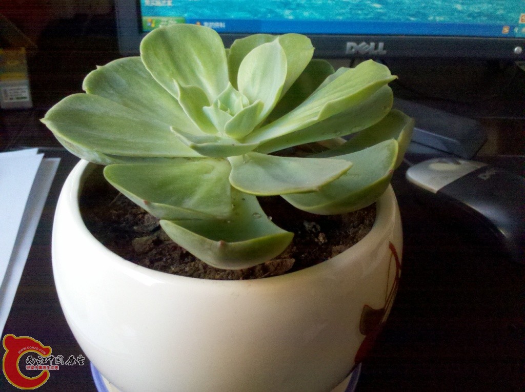 2011-03-06_13-45-43_281.jpg