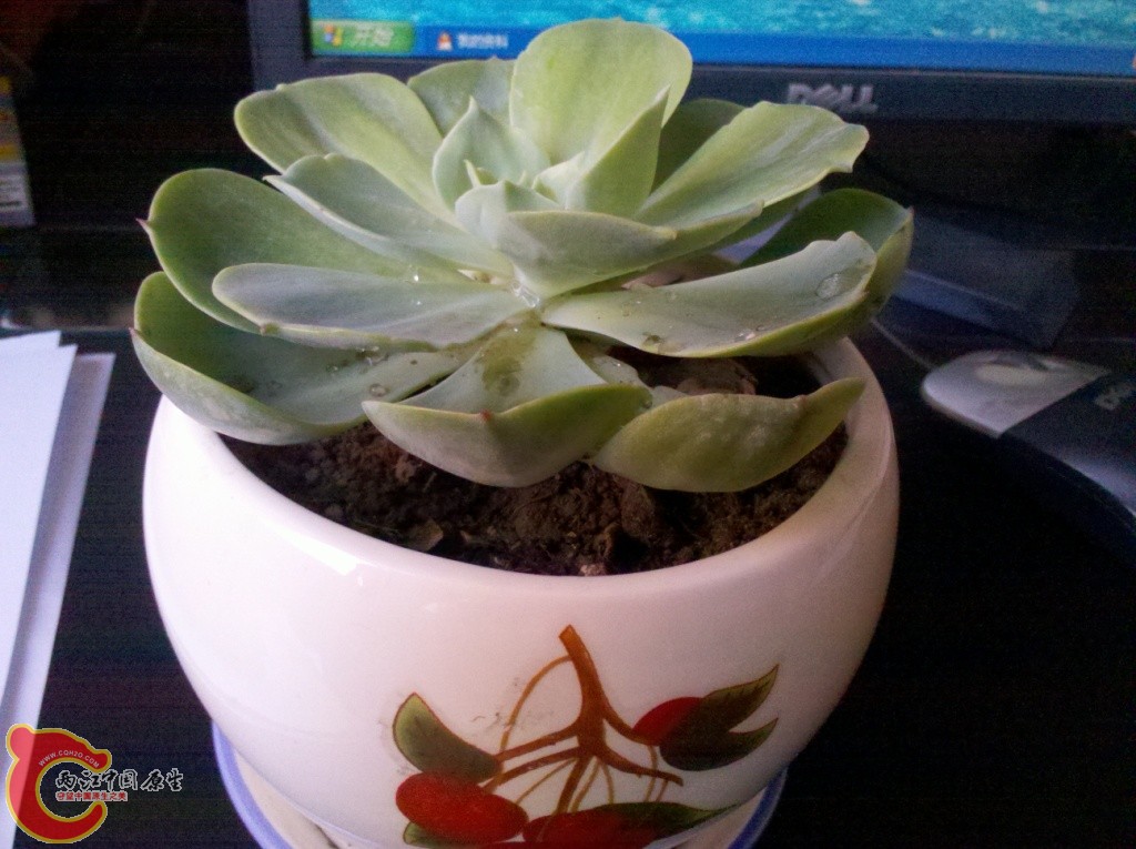 2011-03-06_13-45-52_499.jpg