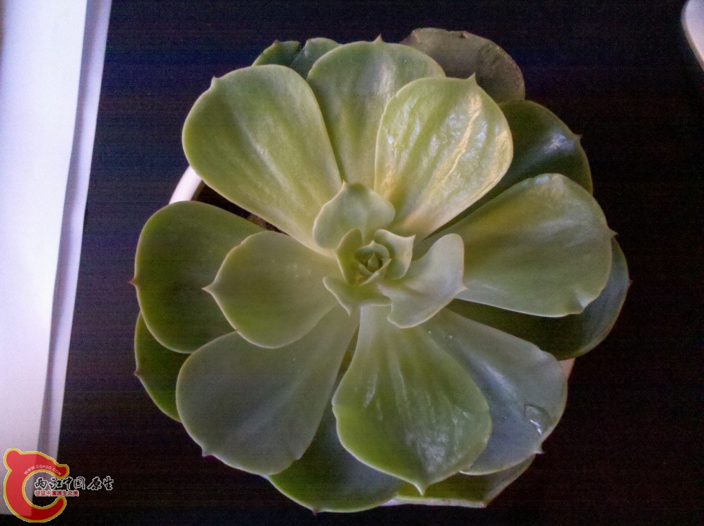 2011-03-06_13-45-58_882.jpg