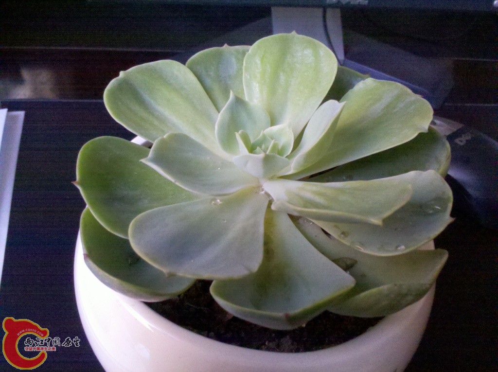 2011-03-06_13-46-15_335.jpg