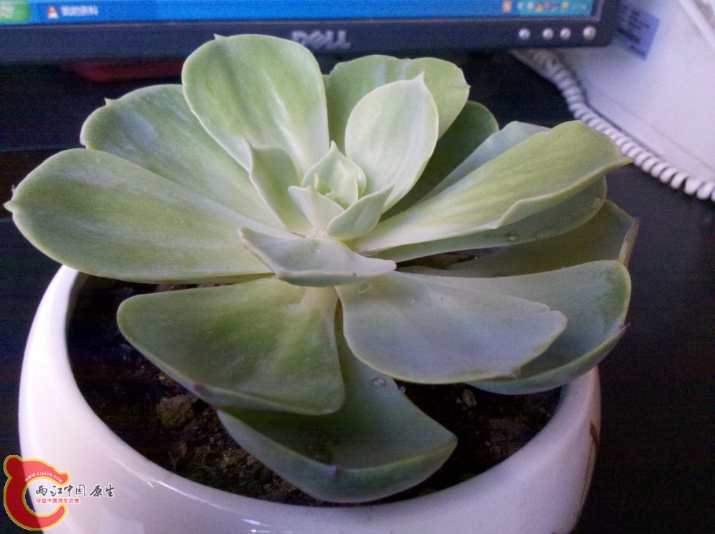 2011-03-06_13-46-23_783.jpg