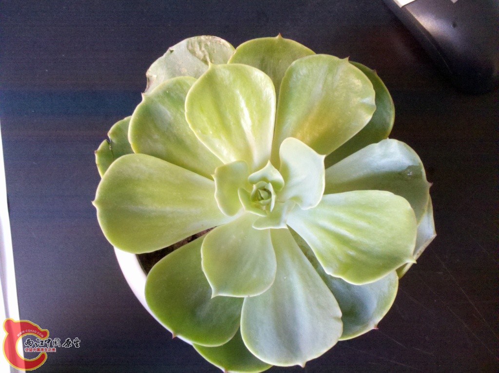 2011-03-06_13-46-30_546.jpg