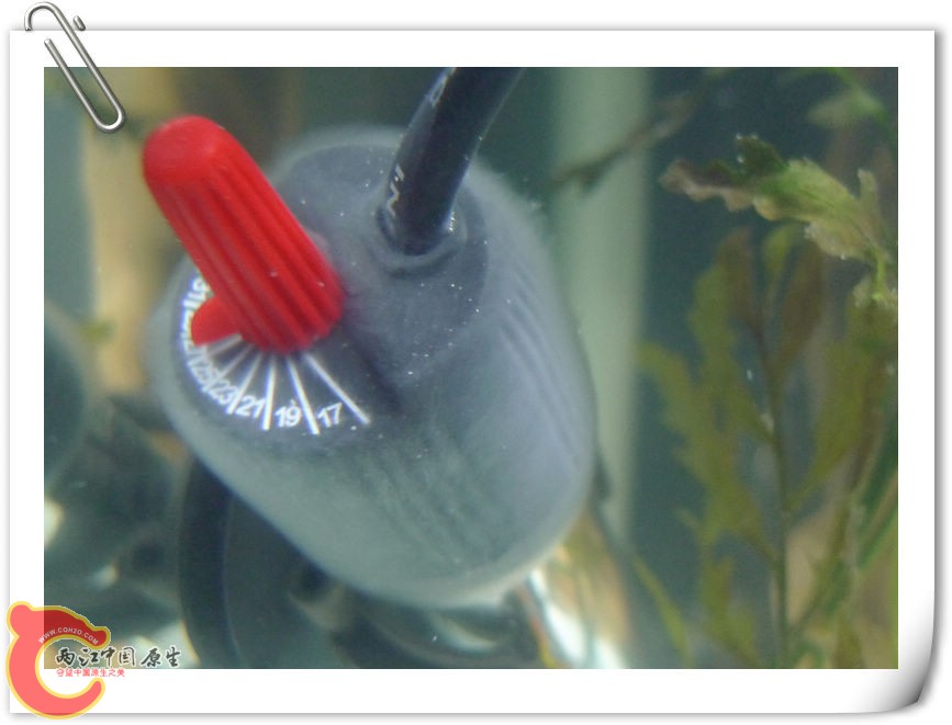 加热管上长了白白的一层