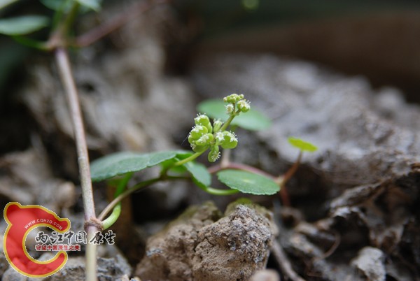 DSC_0373.JPG